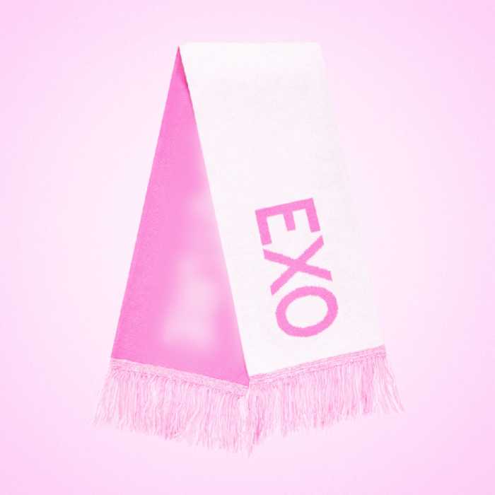 SMTOWN - Slogan [SMTOWN LIVE 2025 Tour Official MD] - K PLACE